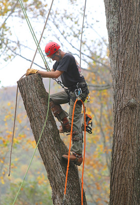 Prescott Tree Service business image