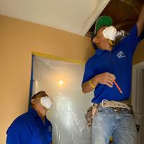 Westland Mold Inspection business image