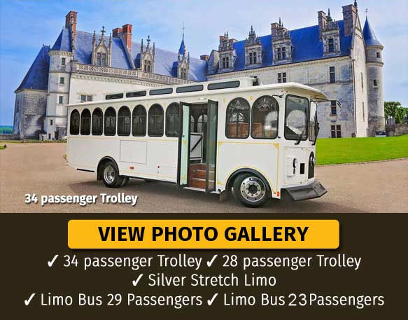 Absolute Dream Limousines business image