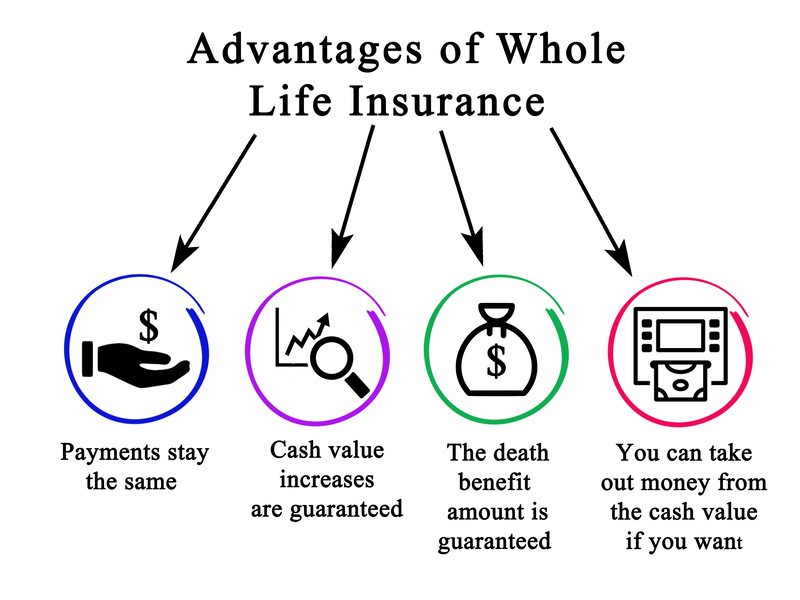 Kennesaw Life Insurance Experts business image
